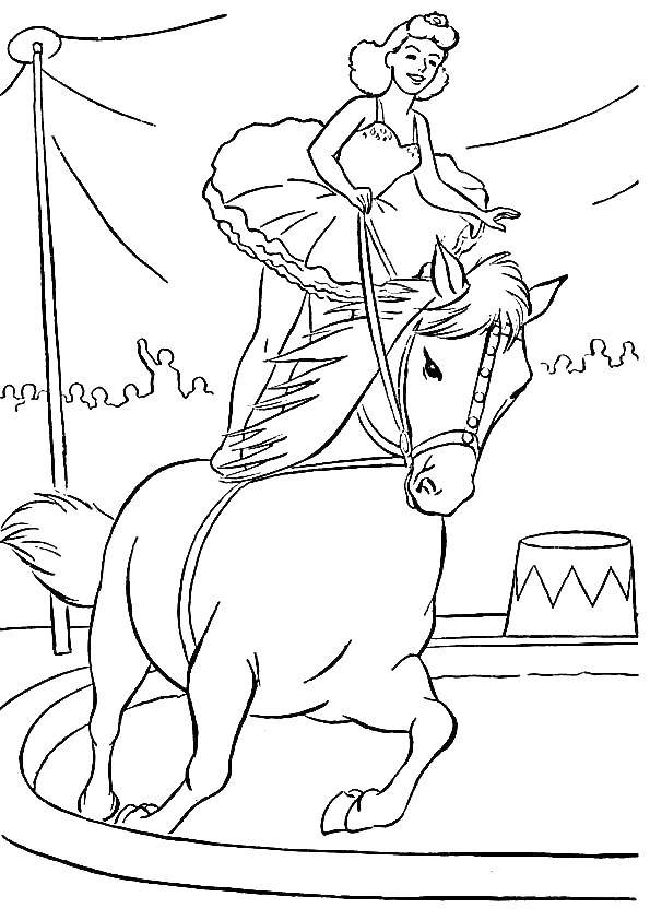 Название: Раскраска Акробатка на лошади. Категория: цирк. Теги: цирк.