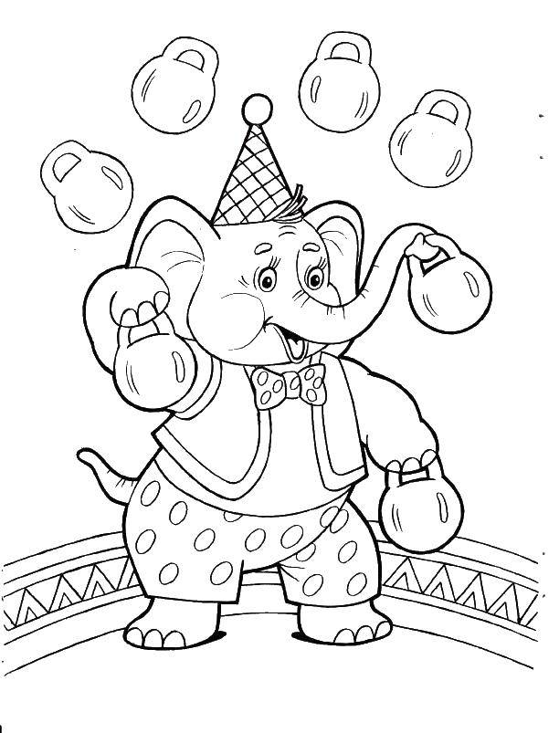 Coloring Circus elephant. Category circus. Tags:  Animals, elephant.