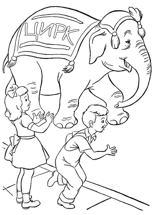 Coloring Children and elephant. Category circus. Tags:  circus, elephant, children.