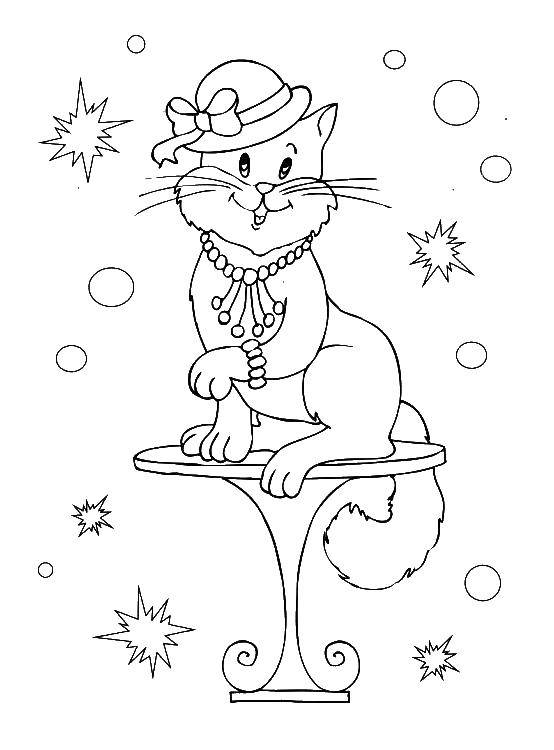 Coloring Kitty beauty. Category circus. Tags:  circus.