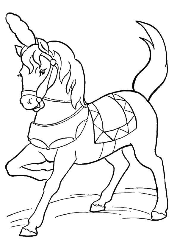 Coloring Horse. Category circus. Tags:  circus, horse.