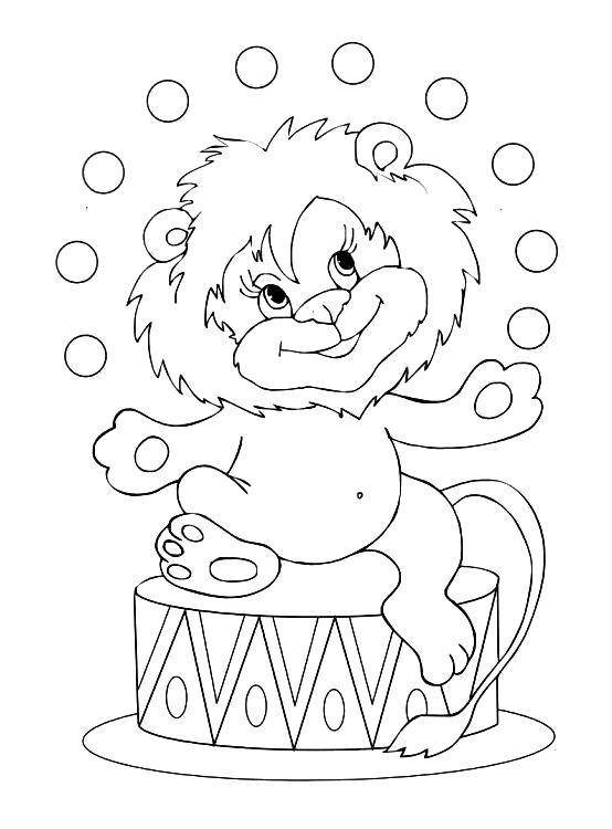 Coloring Lion juggling. Category circus. Tags:  circus.