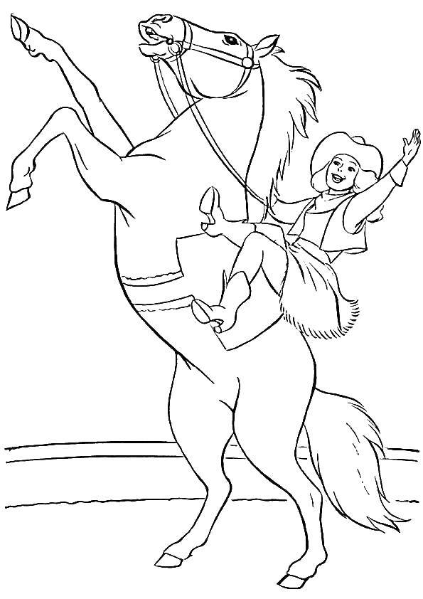 Название: Раскраска Наездница и лошадь. Категория: цирк. Теги: цирк, лошадь, наездница.
