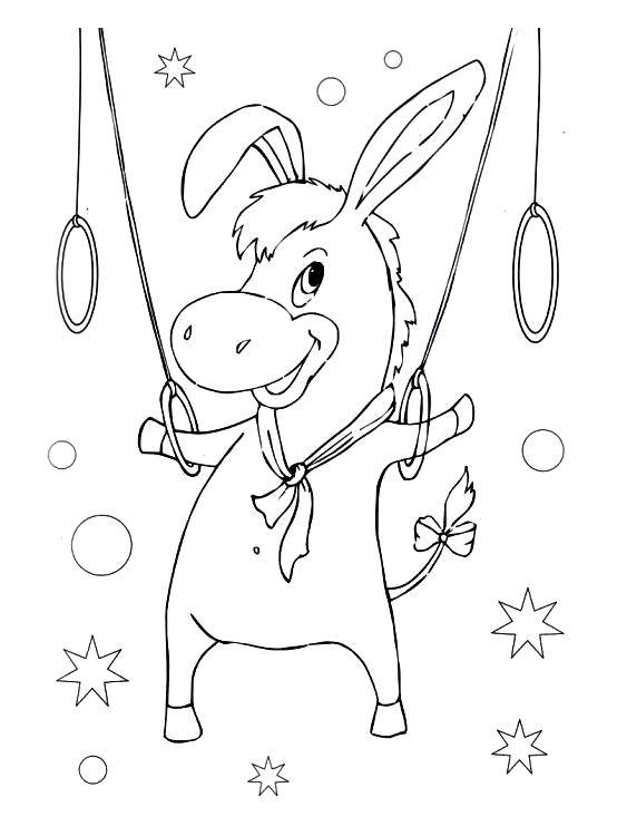 Coloring Donkey on the rings. Category circus. Tags:  circus.