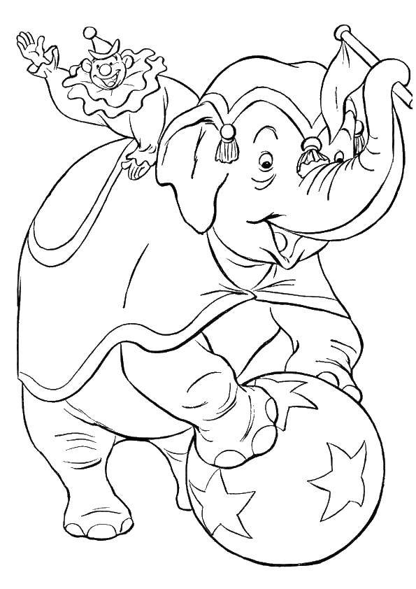 Название: Раскраска Слон с клоуном. Категория: цирк. Теги: цирк, клоун, слон.