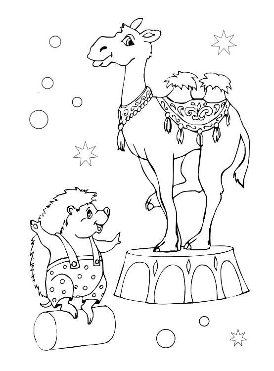 Coloring Hedgehog with a camel. Category circus. Tags:  circus.