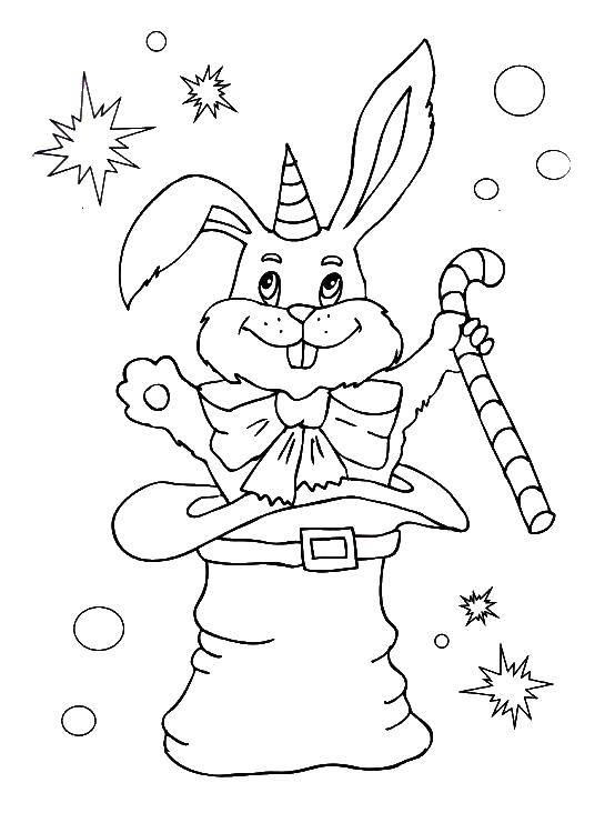 Coloring Bunny in the hat. Category circus. Tags:  circus.
