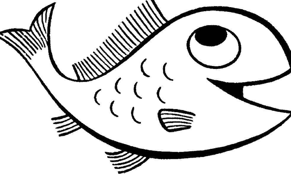 Название: Раскраска Милая рыбка. Категория: рыбы. Теги: рыбы, плавники.
