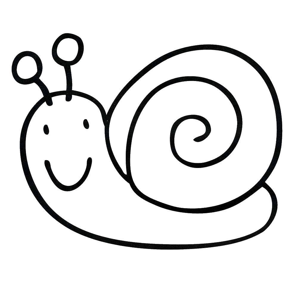 Coloring Snail. Category Animals. Tags:  animals, snail.