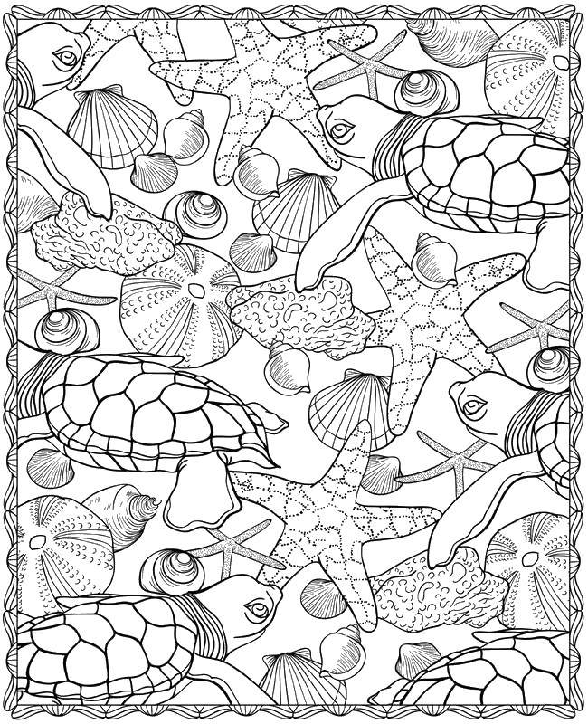 Название: Раскраска Морской рисунок. Категория: морское. Теги: Подводный мир, рыба.