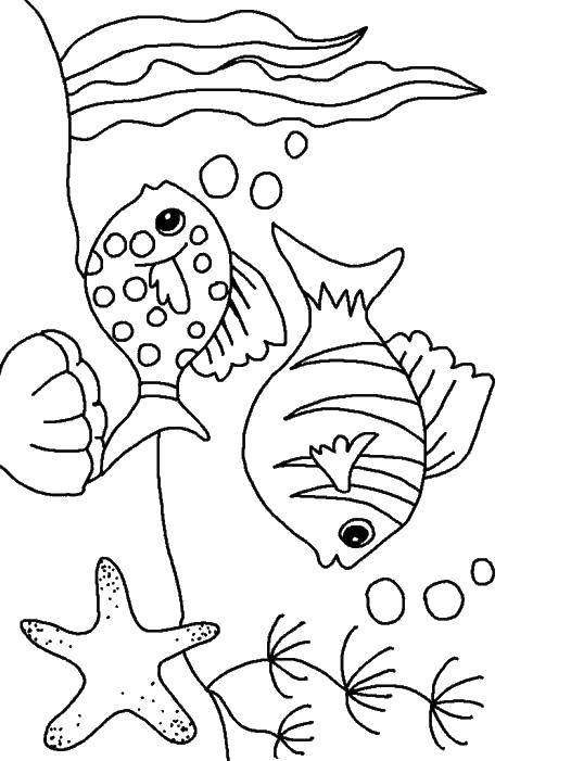 Название: Раскраска Рыбки на дне. Категория: Морской монстр. Теги: Подводный мир, рыба.