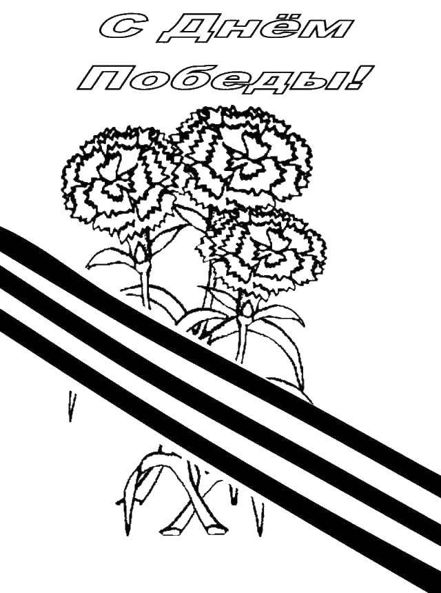 Coloring St. George ribbon and carnations. Category May 9. Tags:  Greeting, may 9, Victory Day.
