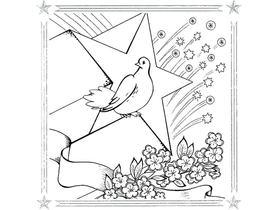 Название: Раскраска Голубь и звезда. Категория: 9 мая. Теги: 9 мая, день победы, птица.