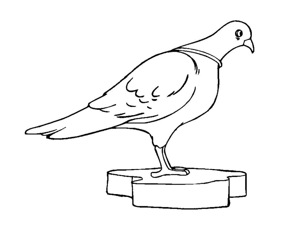 Coloring Dove.. Category the dove of peace . Tags:  Birds.