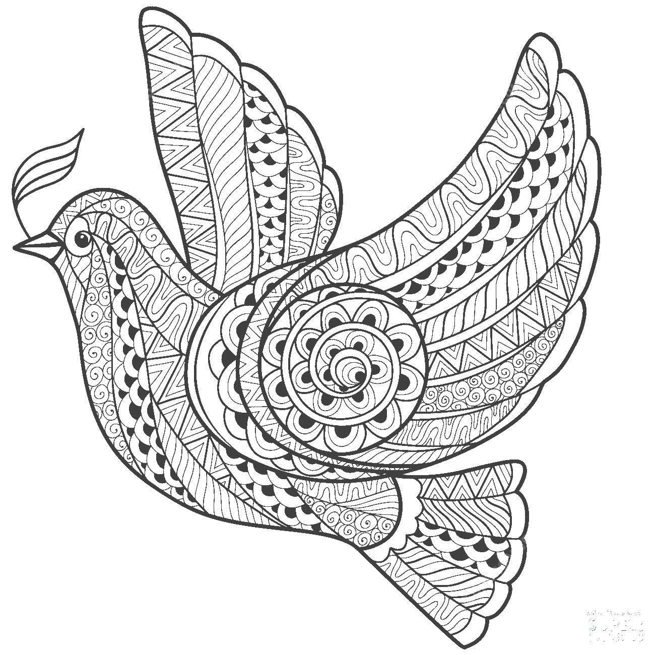 Розмальовки  Візерунковий голуб. Завантажити розмальовку Візерунки, геометричні.  Роздрукувати ,голуб миру,