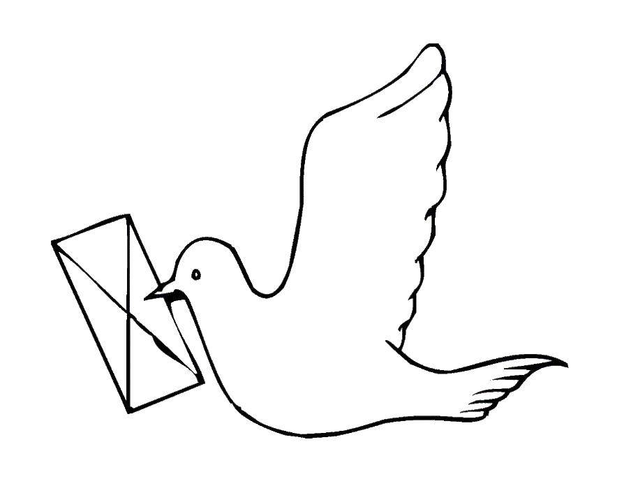 Coloring Dove flying with a letter. Category bird. Tags:  birds, bird, pigeon, letter.