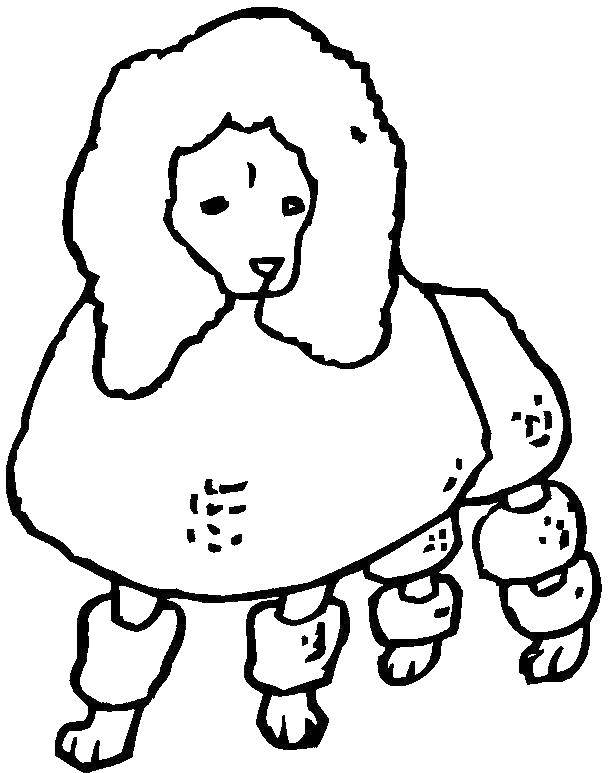 Coloring Trimmed poodle. Category Animals. Tags:  Animals, dog.