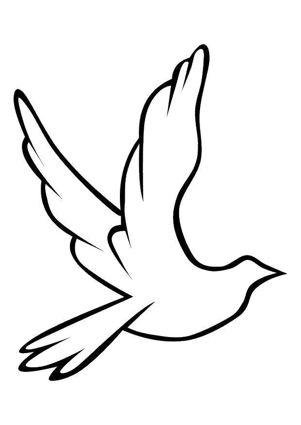Coloring Template of a dove. Category birds. Tags:  birds, pattern, contour.