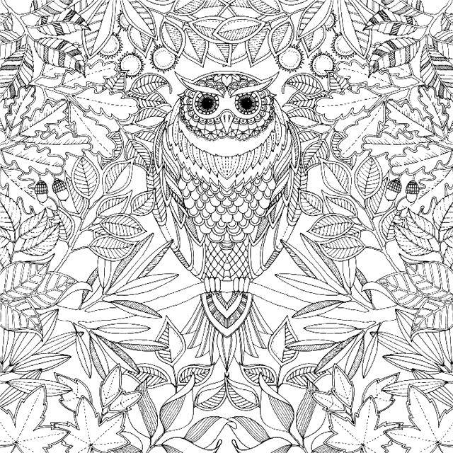 Coloring Patterned owl in the woods. Category patterns. Tags:  Patterns, geometric.