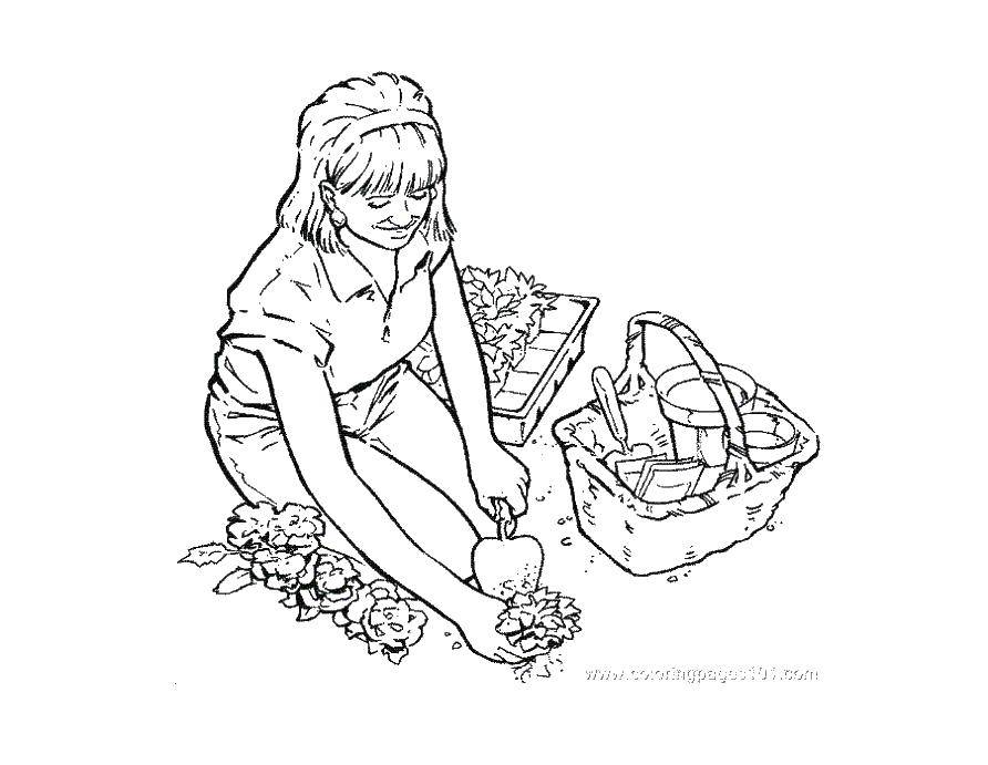 Coloring Girl planting in the garden. Category vegetable garden. Tags:  girl, vegetable garden.
