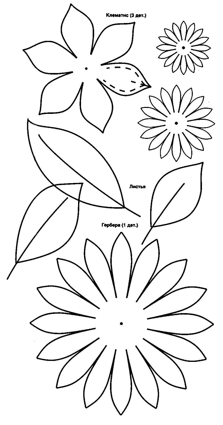 Coloring Gerbera. Category flowers. Tags:  gerbera, DIY.