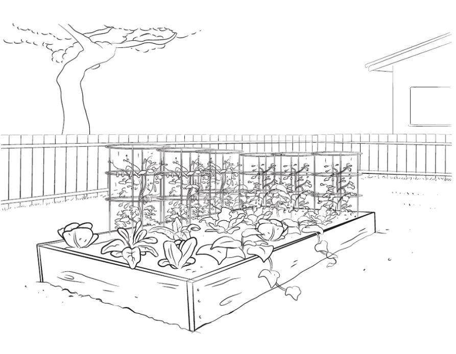Раскраски и Рисунки огорода для рисования