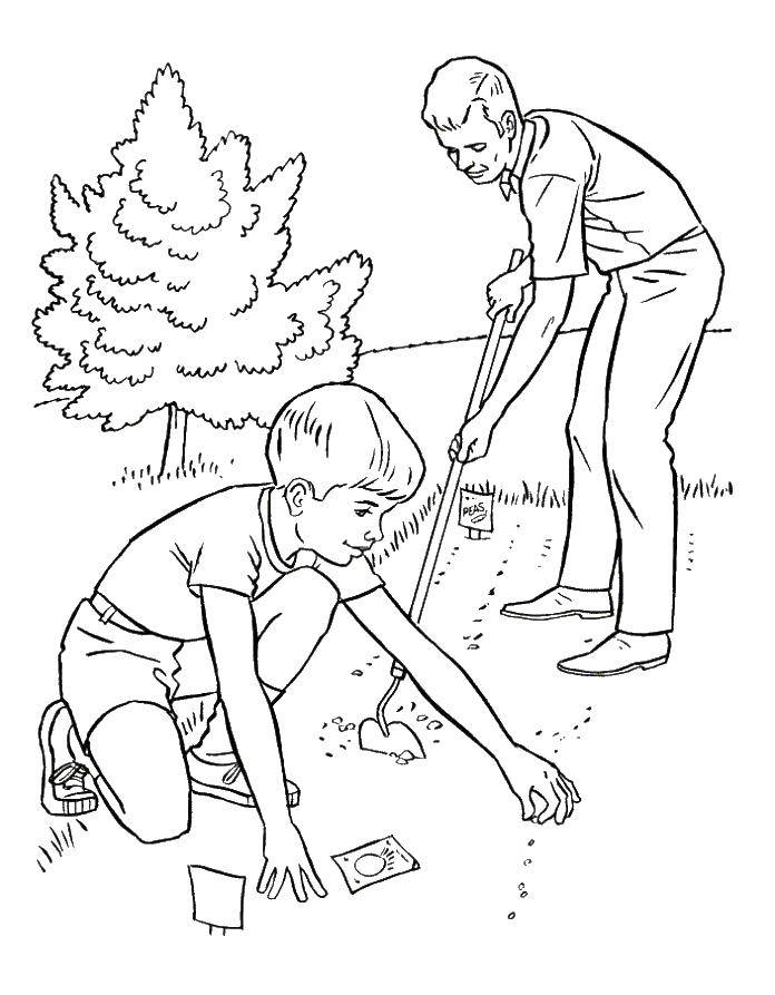 planting seeds coloring pages