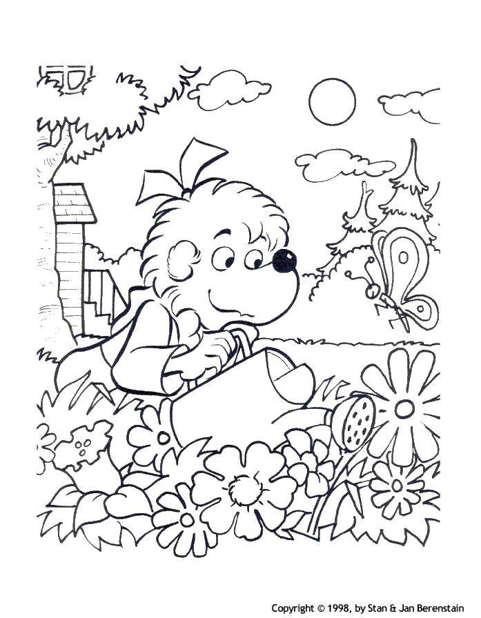 Coloring Dog watering flowers. Category vegetable garden. Tags:  dog , flowers.
