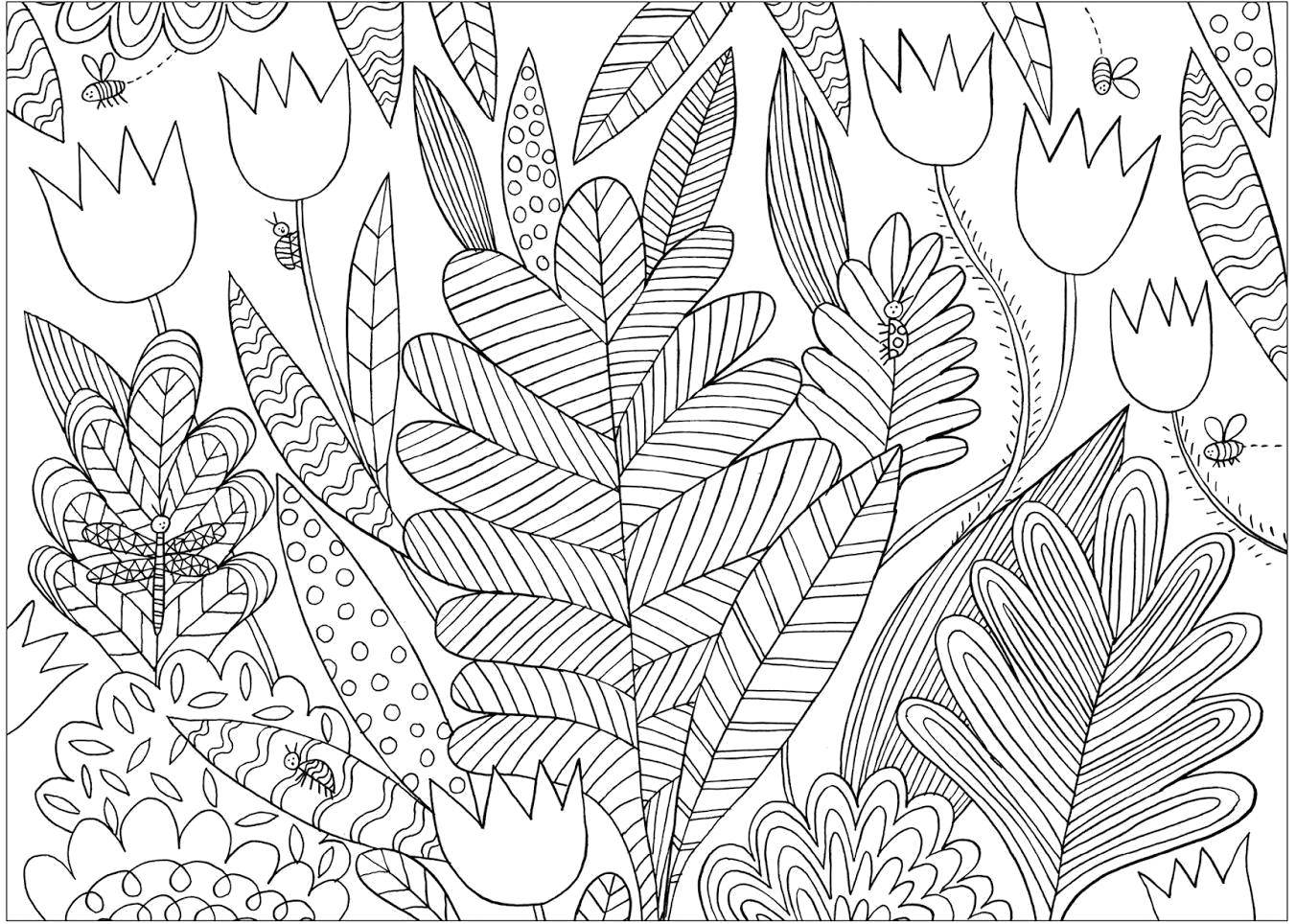 Раскраски Раскраска Красивые тропические растения , Раскраски .