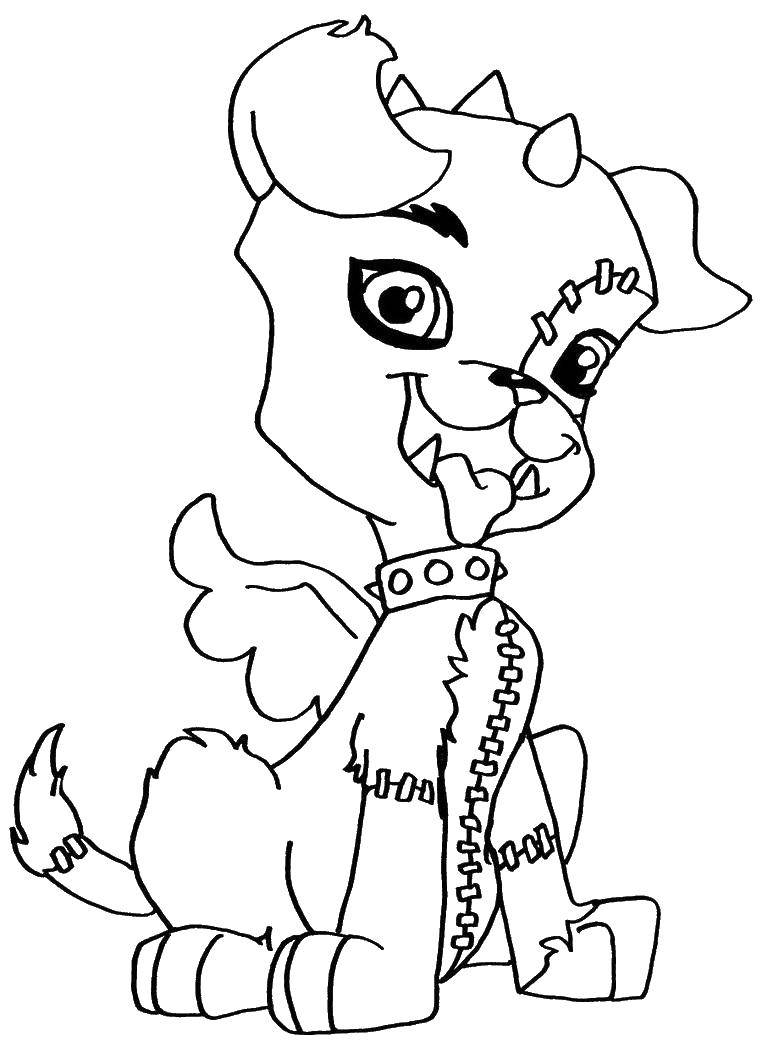 Coloring Pet. Category monster high. Tags:  Monster High.