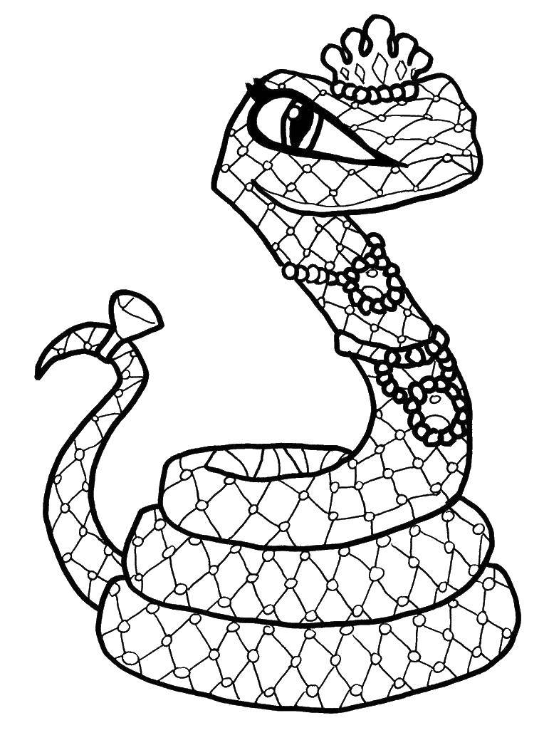 Coloring Snake.. Category monster high. Tags:  Monster High.
