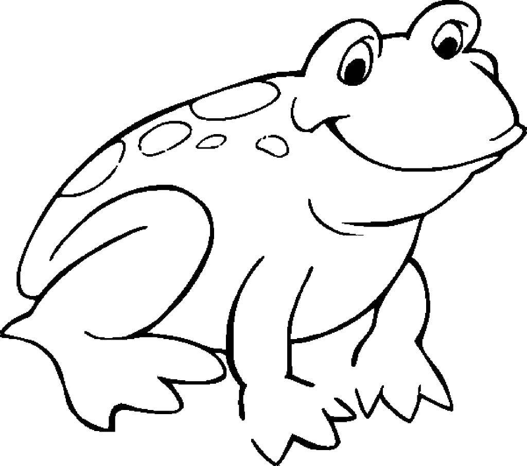 Coloring Frog.. Category reptiles. Tags:  Reptile, frog.