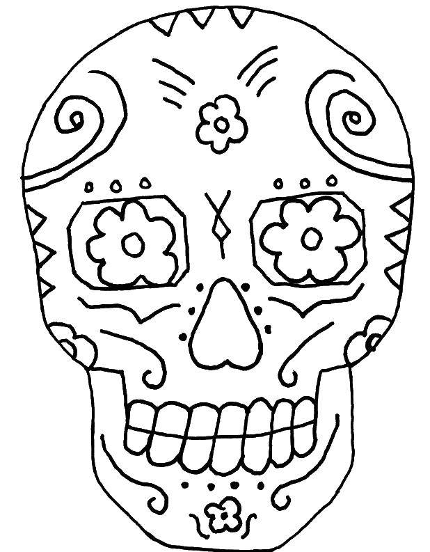 Coloring Skull. Category Skull. Tags:  Skull, patterns.