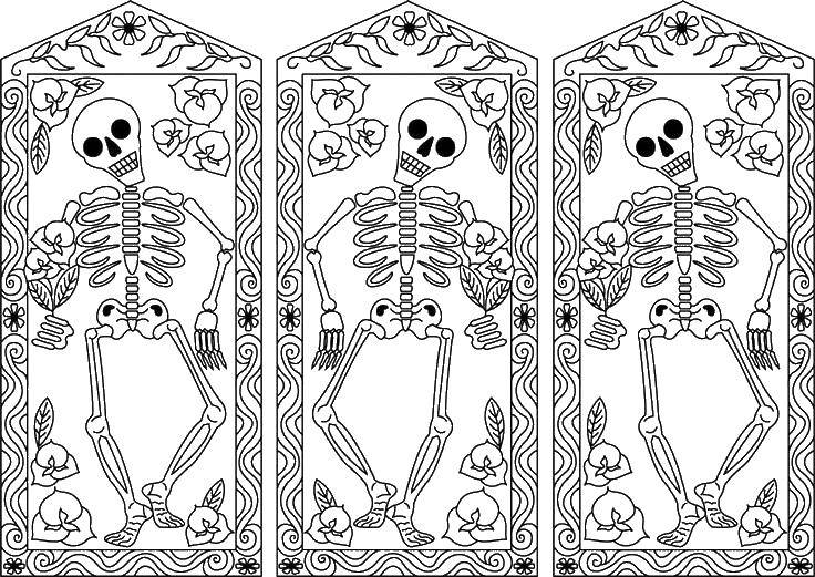 Coloring Skeletons. Category Skull. Tags:  Skull, patterns.