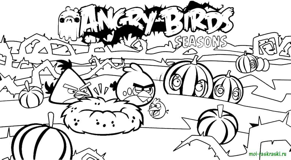 Название: Раскраска Andry birds, игра. Категория: Персонаж из игры. Теги: Angry Birds, персонаж из игры.