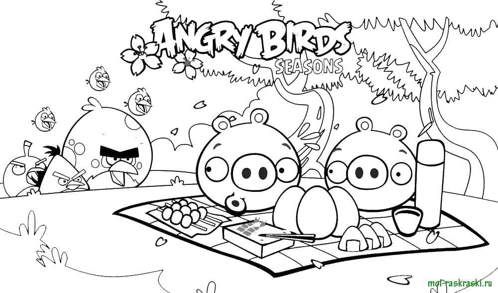 Название: Раскраска Angry birds, игра, пикник. Категория: Персонаж из игры. Теги: Angry Birds, персонаж из игры.