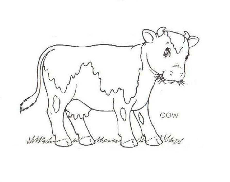 Название: Раскраска Рисунок корова на лугу. Категория: домашние животные. Теги: корова.