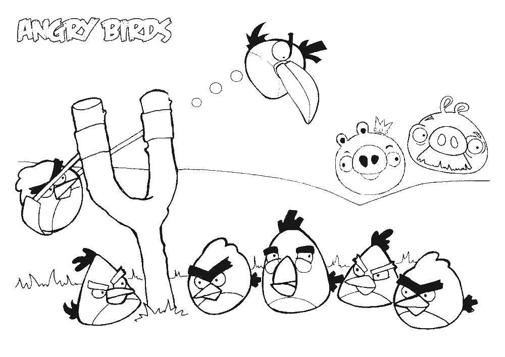 Coloring Andry birds game. Category The character from the game. Tags:  Angry Birds, the character of the game.
