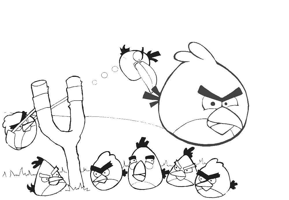 Название: Раскраска Andry birds, игра. Категория: Персонаж из игры. Теги: Angry Birds, персонаж из игры.