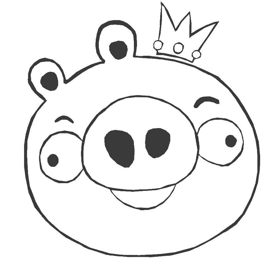 Coloring Angry birds king pig. Category for boys . Tags:  angry birds.