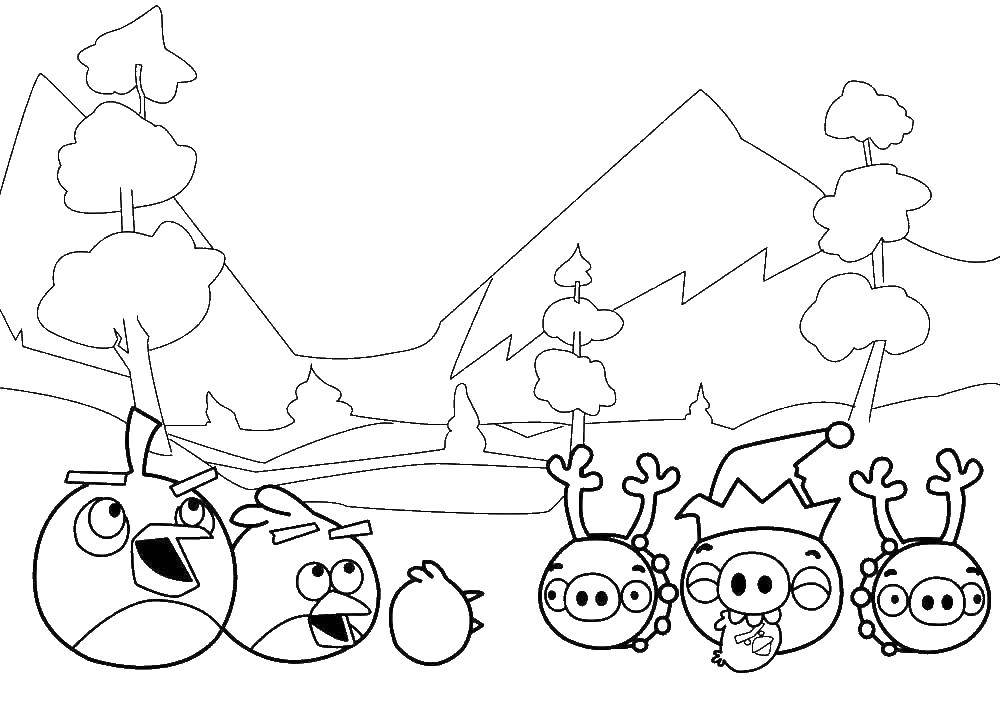 Coloring Angry birds in the new year. Category for boys . Tags:  angry birds.
