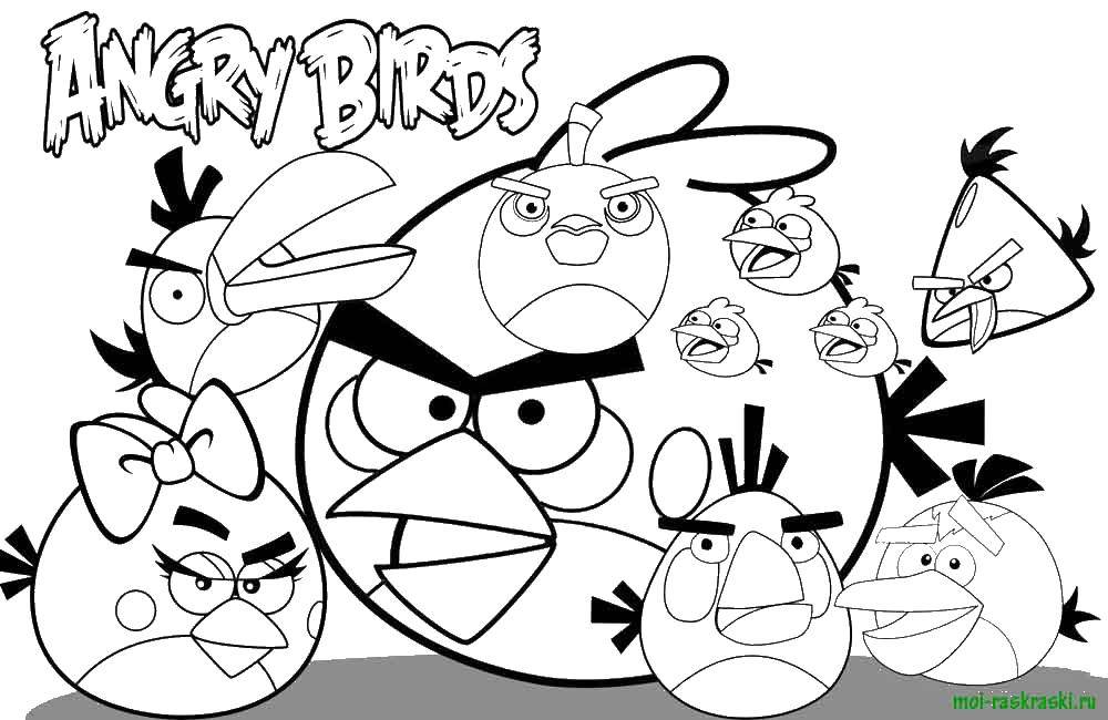 Coloring Angry birds. Category for boys . Tags:  angry birds.