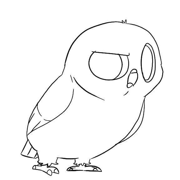 Coloring Owl. Category night birds. Tags:  owl, owl.