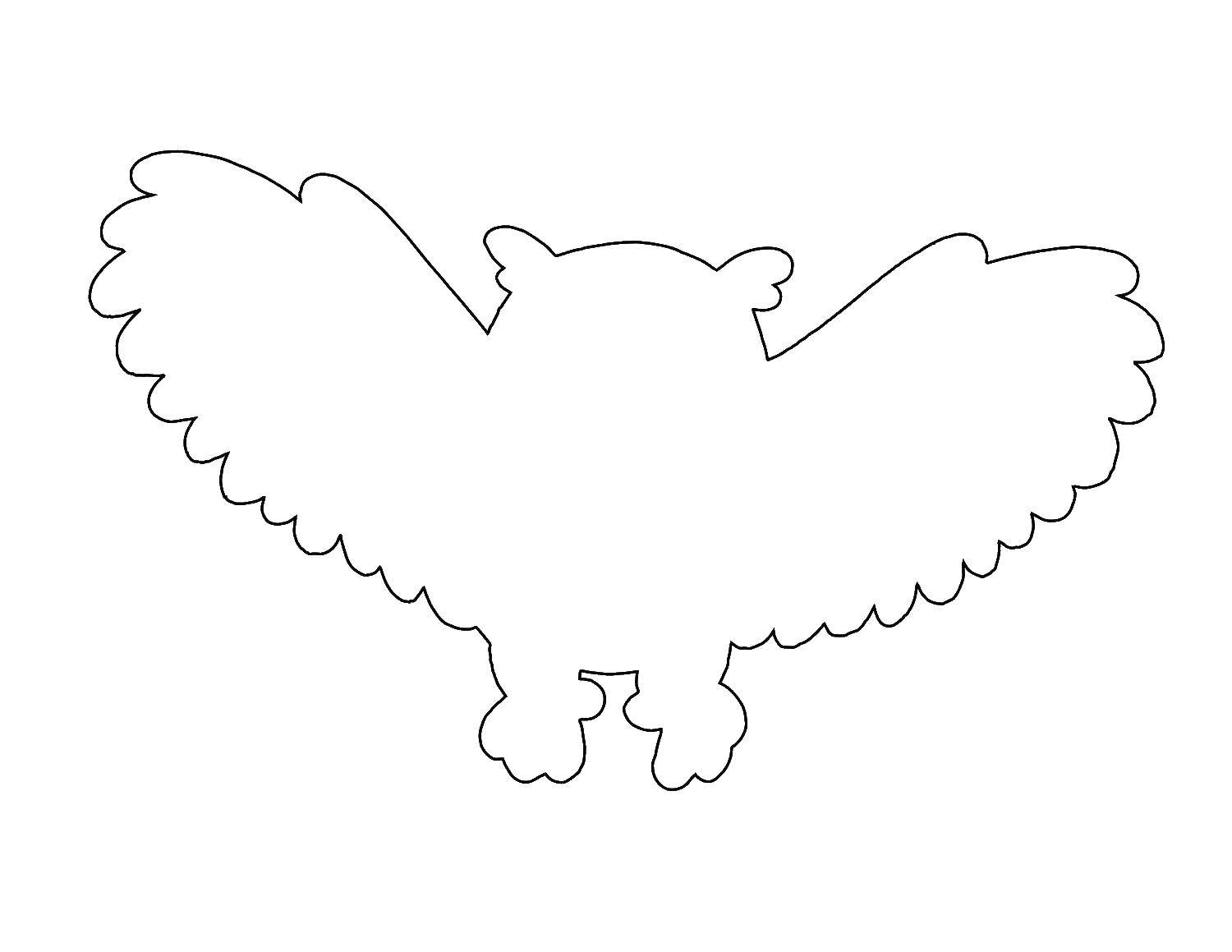 Название: Раскраска Контур летящей совы. Категория: Контуры птиц. Теги: контур, птица, сова.