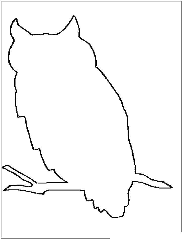 Coloring The owl contour. Category night birds. Tags:  owl, bird, contour.