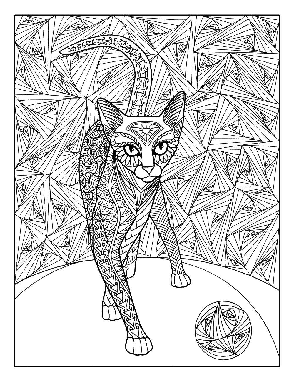 Название: Раскраска Кошка нарисованная узором. Категория: Кошка. Теги: кошка, узоры.