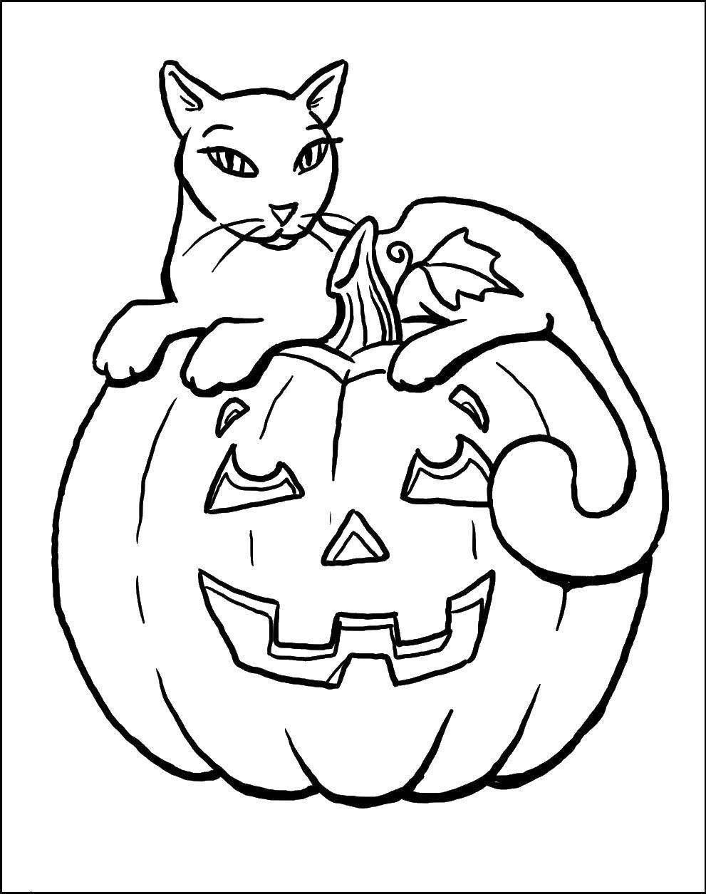Название: Раскраска Котик на тыкве. Категория: Хэллоуин. Теги: Хэллоуин, тыква, кот.