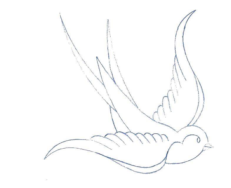 Coloring Swallow in flight. Category The contours for cutting out the birds. Tags:  swallow , outline, bird.