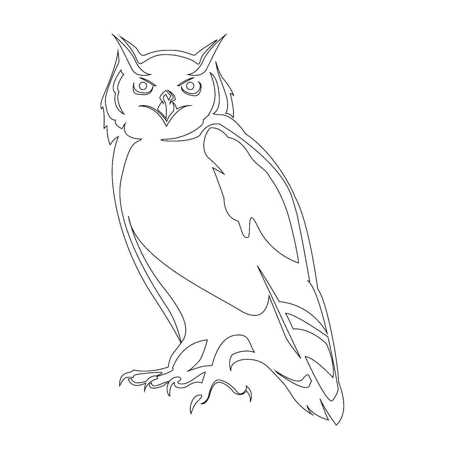 Coloring Unusual owl. Category The contours for cutting out the birds. Tags:  Birds, owl.