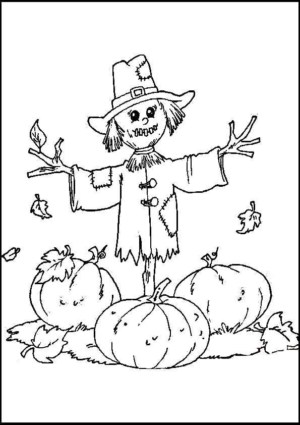 Coloring The Scarecrow amongst the pumpkins. Category Scarecrow. Tags:  Halloween, pumpkin.